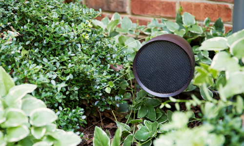 Landscape speaker installed among shrubs