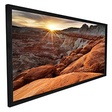 Dragonfly™ Fixed 16:9 Ultra White Projection Screen - 100' Screen Size 
