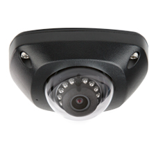 Luma Surveillance™ 300 Series Mini Dome IP Outdoor Camera | Black 