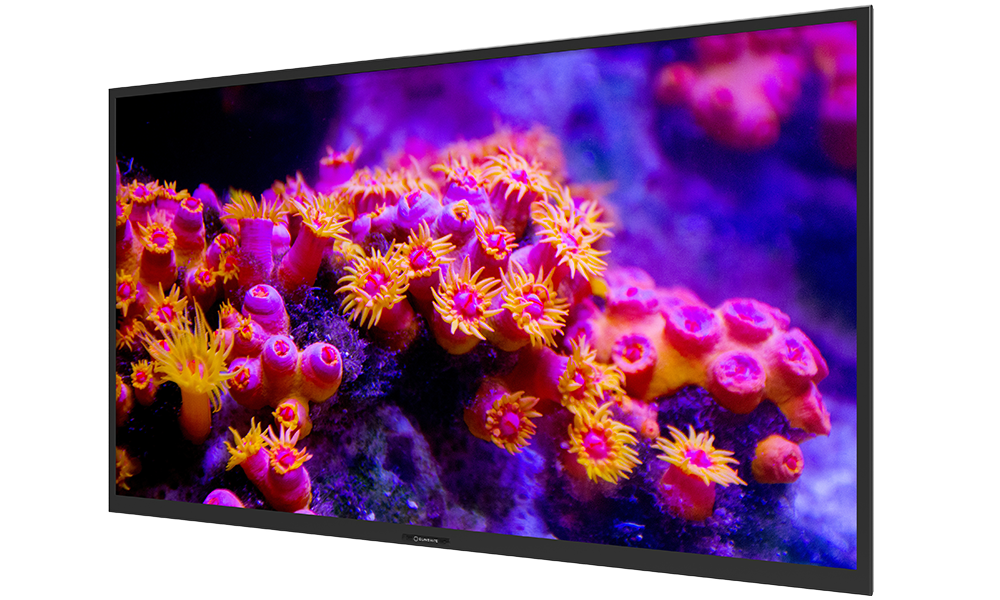 Vibrant display of color on the Sunbrite TV