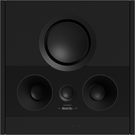 Triad OnWall Surround Speaker - 5' 