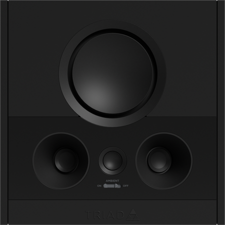 Triad OnWall Surround Speaker - 6' 