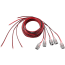 Image for 