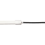 Image for 