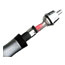Image for 