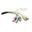 Image for 