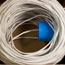 Image for 