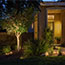 Image for 