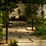 Image for 