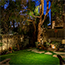 Image for 
