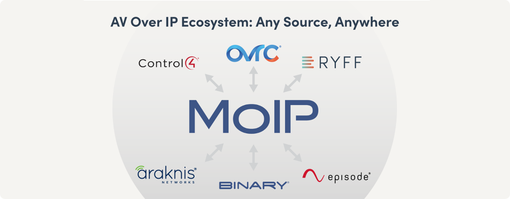 IP ecosystem graphic