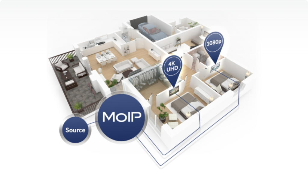 IP ecosystem graphic