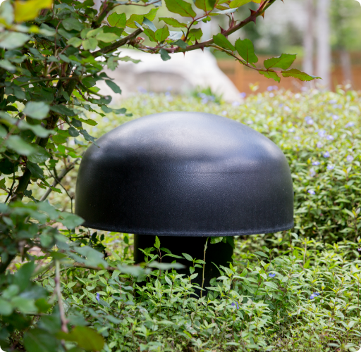 Burial subwoofer in a garden