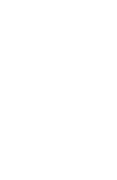 Triad Cinema Reference speakers