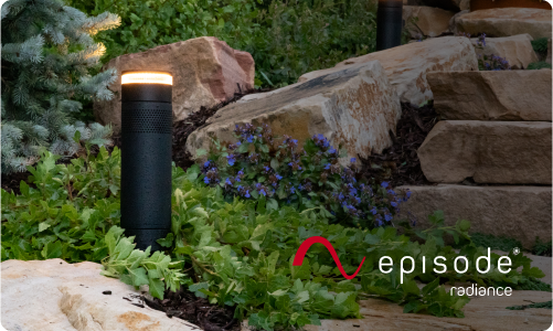 Episode Radiance speaker installed in a garden
