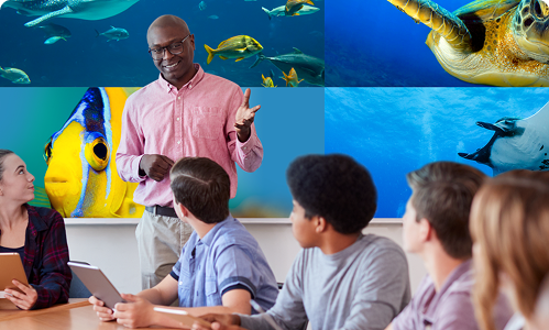 Small classroom with students listening to a teacher