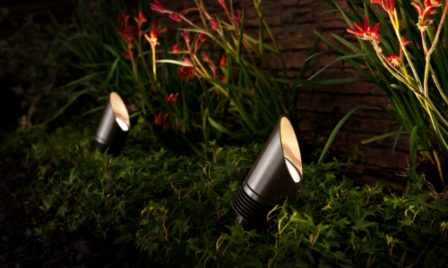 Landscape lights in tall grass