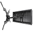 Image for 