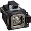 Image for 