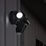 Image for 