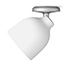 Image for 
