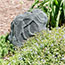 Image for 