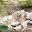 Image for 
