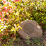 Image for 