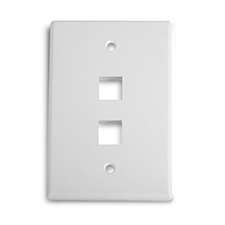 Wirepath™ 2-Port Midi Wall Plate - White