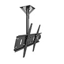 Image for 