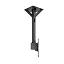 Image for 