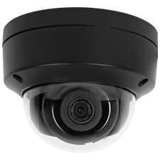 Luma Surveillance™ 110 Series Dome IP Outdoor Camera | Black 