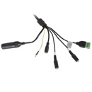Image for 