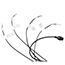 Image for 