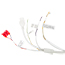 Image for 