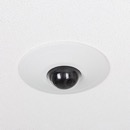 Image for 