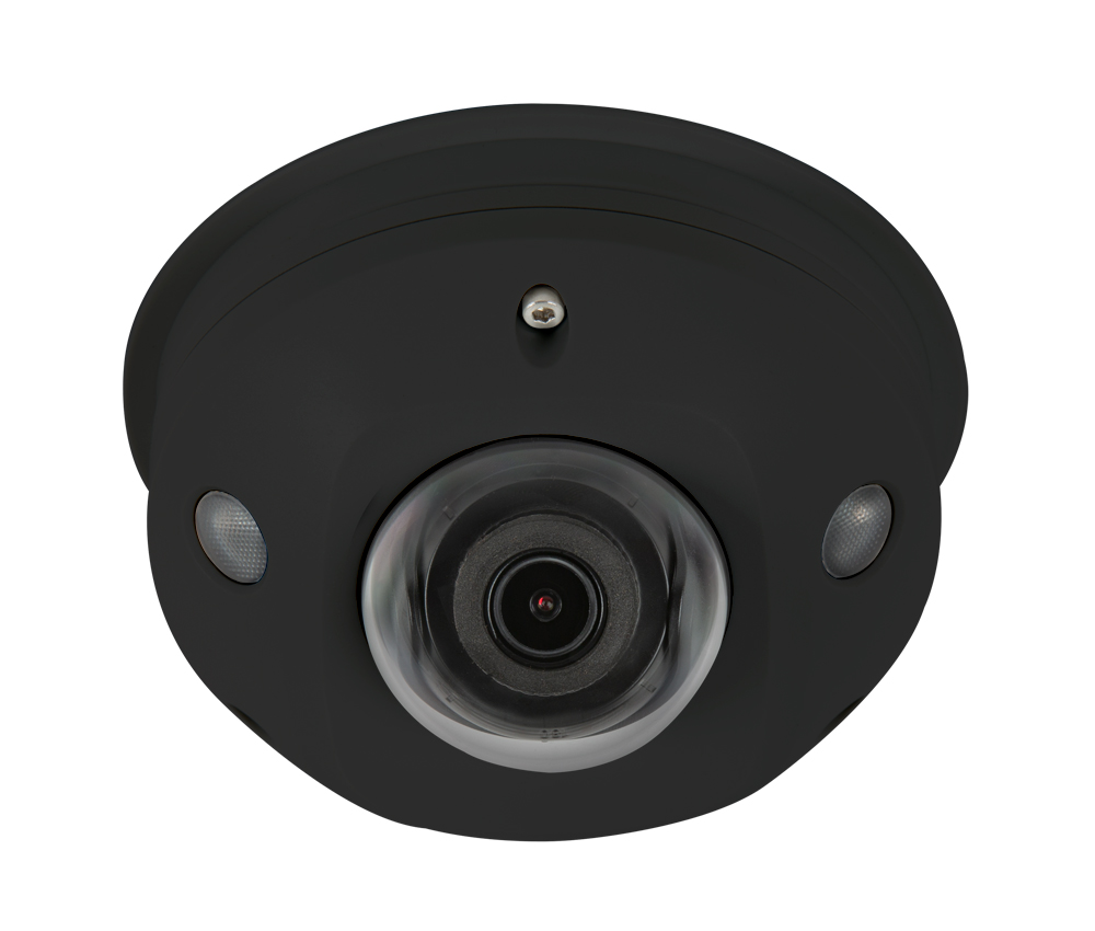 Black Luma 310 Dome IP Camera