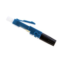 Image for 