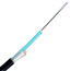 Image for 