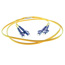 Image for 