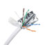 Image for 