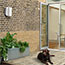 Image for 