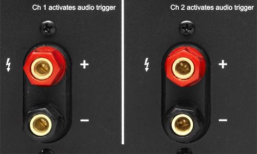 Zoomed-in view of speaker terminals