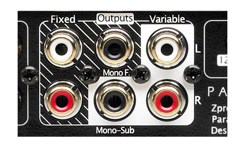 Variable and Fixed mono/subwoofer outputs on back of amp