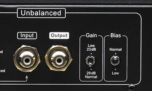 Zoomed-in view of Gain and Bias switches on amp