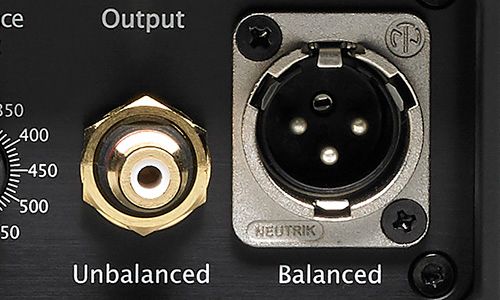 Zoomed-in view of XLR jack on back of amp