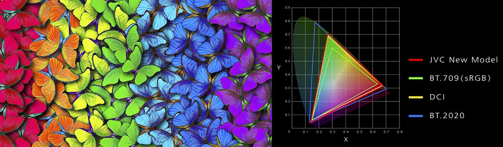 Side-by-side images - one showing an enhanced image of butterfliers and the other showing the settings to achieve that color