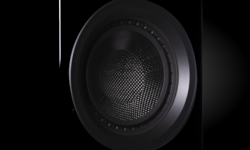 Image of carbon woofer on speaker