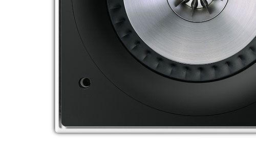 Zoomed-in view of speaker without grille