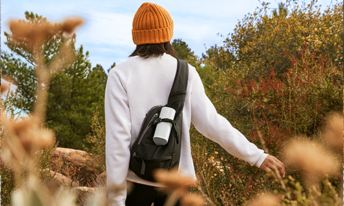 SONOS ROAM nestled in a backpack